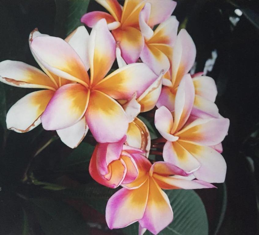 哈纳雷花园度假屋 湄南海滩 外观 照片